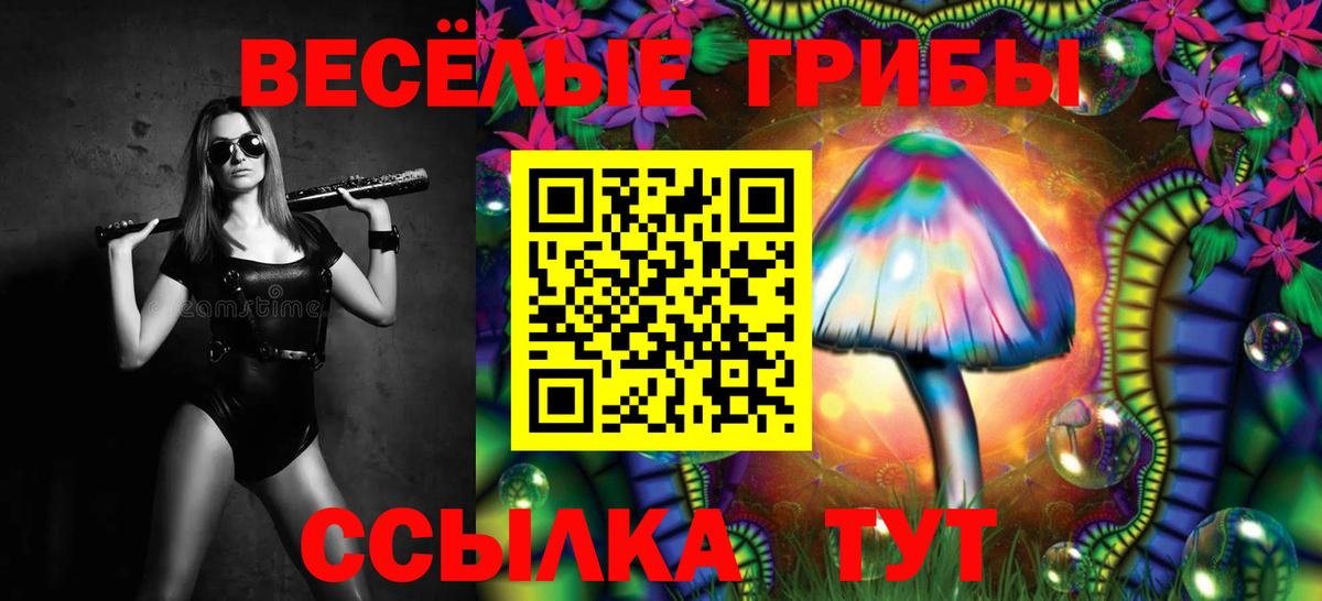 Псилоцибиновые грибы MAGIC MUSHROOMS Сокол